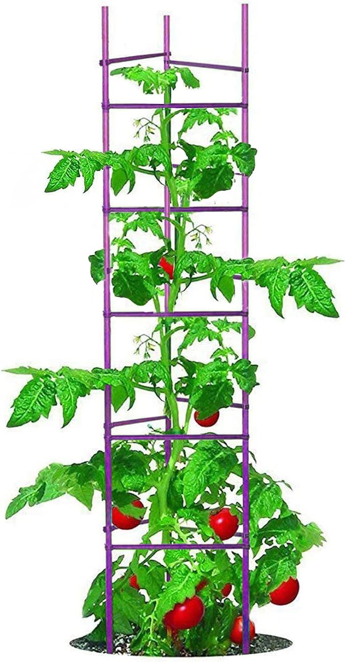 Growsun Large Tomato Cage 6 Pack Upto 73 inch Tall Tomato Trellis Garden Stakes Plant Support,Purple(5ft Stake add 18 inch Adjustable Stakes)
