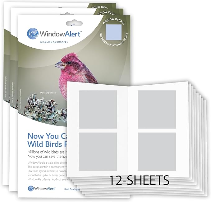 WindowAlert Classic Square Anti-Collision Decal 12 Pack - UV-Reflective Window Decal to Protect Wild Birds from Glass Collisions - Made in The USA