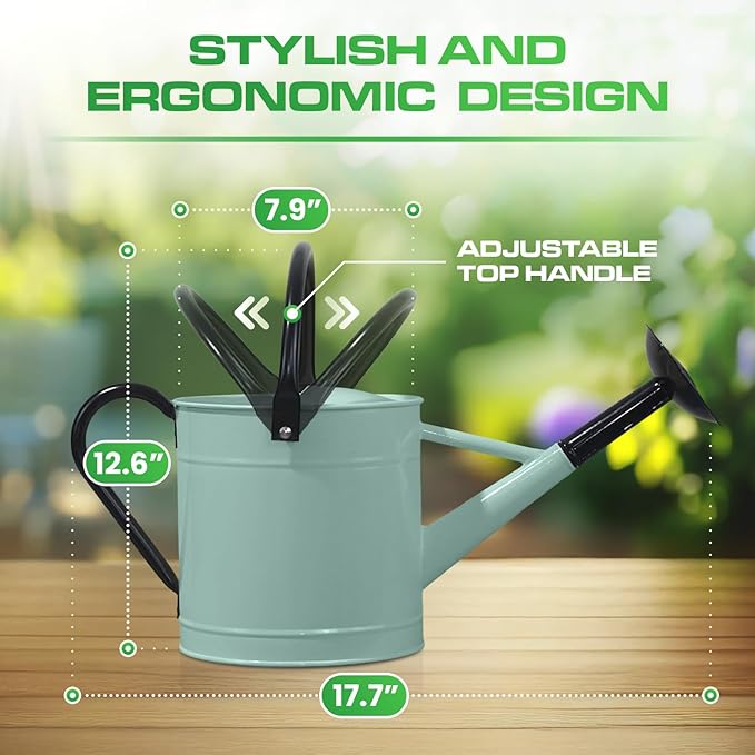 Plexon Metal Watering Can Outdoor 1 Gallon, Flower Plant Gardening Garden Large Watering Can Pot, Black Galvanized Steel Handles and Removable Spray Spout, Aqua Mist Blue