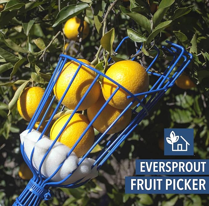 EVERSPROUT 4.5-to-12ft Durable Fruit Picker with 20+ Foot Reach – Telescoping Fruit Picker Pole, Lightweight Twist-On Fruit Picking Tool with Basket, Aluminium Extension Pole for Tree Fruit Harvesting