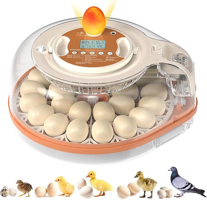 Incubators for Hatching Eggs 3 in 1 Fully Automatic Poultry Incubator Auto Temp and Humidity Control Auto Egg Turning 26 Eggs Capacity for Farm and Home Use Suitable for Chicken Duck Quail Eggs