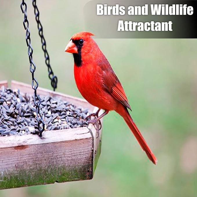 Old Potters Wildlife Striped Sunflower Seed for Wildlife Bird Feeding, Non-GMO and USA Small Farm Grown, 6 lbs