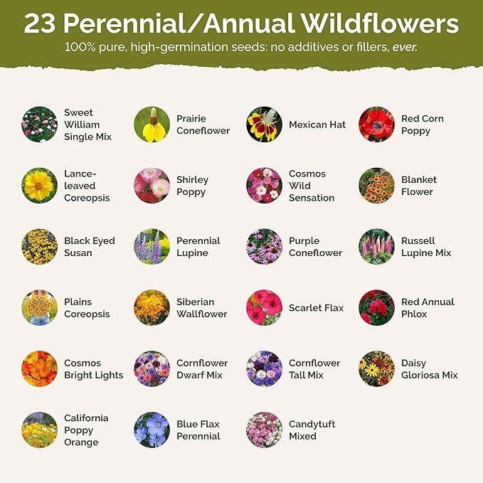 Eden Brothers Minnesota Wildflower Mixed Seeds for Planting, 1 lb, 480,000+ Seeds with Cornflower, Blanket Flower | Attracts Pollinators, Plant in Spring or Fall, Zones