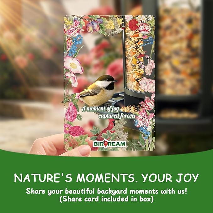 Birdream 2 Pack Bird Feeders for Outdoor Hanging, Assembly Required, 1-Min Easy Setup, Charming Castle Design, Attracting Cardinals Chickadees Goldfinches & Sparrows - Black