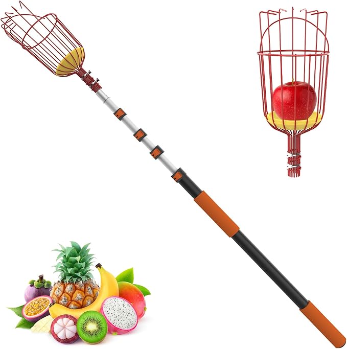 LAANPOLE 20FT Reach Fruit Picker Pole with Basket Telescoping, Apple Picker with 3-12FT Telescoping Pole for Apple Orange Lemon Mango Avocado Guava Fruit Picking
