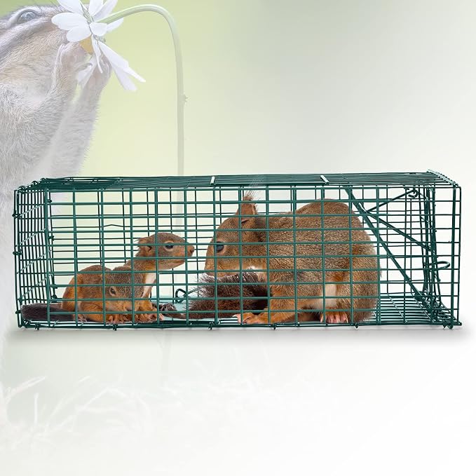 Qualirey 2 Pcs Humane Squirrel Trap Heavy Duty Live Animal Chipmunk Catch and Release Rat Trap for Outdoor Small Animals Mouse Raccoon Stray Cat Rodent Weasels(Green)