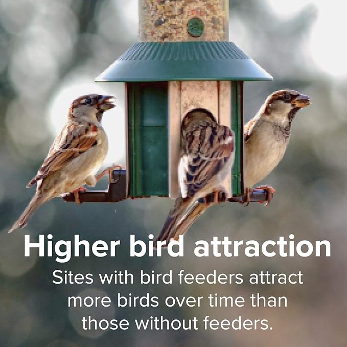 Blue Seal Concerto Wild Bird Seed | Premium High-Energy Blend | No Fillers, Corn-Free | Attracts a Wide Variety of Wild Outside Birds | Convenient Shell-Free Mix | Made in USA | 20 Pound Bag