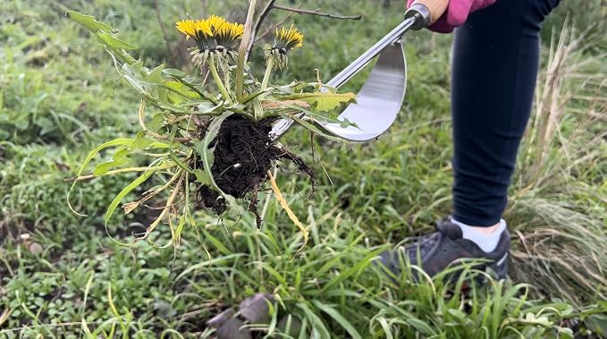 Grampa's Weeder + Grampa's Hand Weeder - Bundle The Original Stand Up Weed Puller & Grampa's Hand Weeder Tool for The Easiest & Most Effective Weed Removal Duos