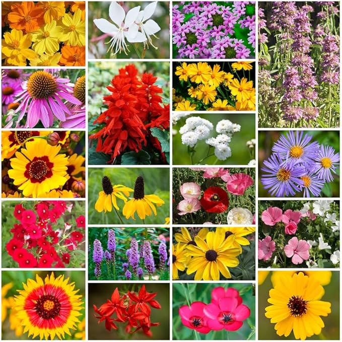 Park Seed Grow Your Own Vibrant Annual and Perennial Wildflower Garden Seeds Mixture, Easy to Grow Varieties for Pollinators and Spring Gardens - Southeast Regional Mix, 10 lbs