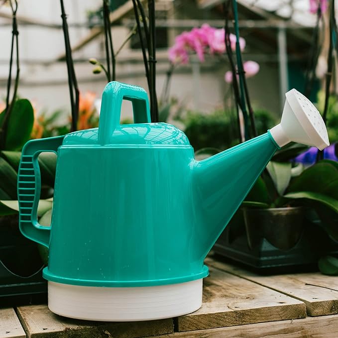 Bloem Watering Can Deluxe 2 Gallon (256 Fl Oz) Bermuda Teal Green (Pack of 2)