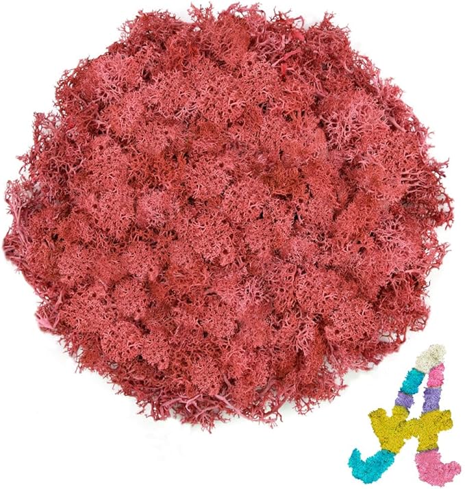 Preserved Reindeer Moss 3.5 OZ Red Natural for Crafts, DIY Gift Christmas Decor, Wall Art, Potted Plants, Floral Fake Moss for Easter Table Decor Wedding Decorative(3.5 OZ, Red)