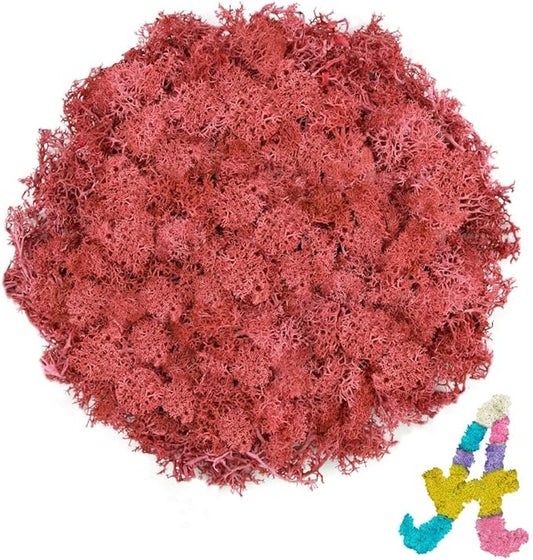 Preserved Reindeer Moss 3.5 OZ Red Natural for Crafts, DIY Gift Christmas Decor, Wall Art, Potted Plants, Floral Fake Moss for Easter Table Decor Wedding Decorative(3.5 OZ, Red)