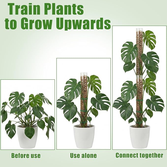 6 Pcs Plastic Moss Pole for Monstera 6×24'' Plant Poles for Climbing Plants Shaped Plant Support Indoor Use with Sphagnum Moss for Climbing Plants Work 24 Inch