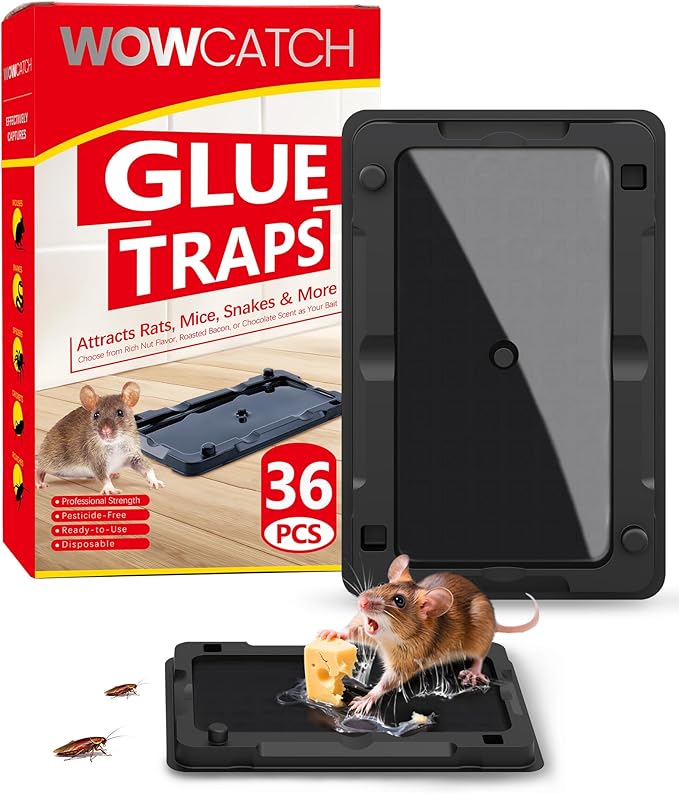 Wowcatch Sticky Mouse Traps Indoor for Home - 36 Pack Glue Traps for Roaches, Spider, Lizard, Rodent Catcher for Kitchen, Garage, Glue Boards for Insects, Pet Safe Pest Control, Non-Toxic, Small Size