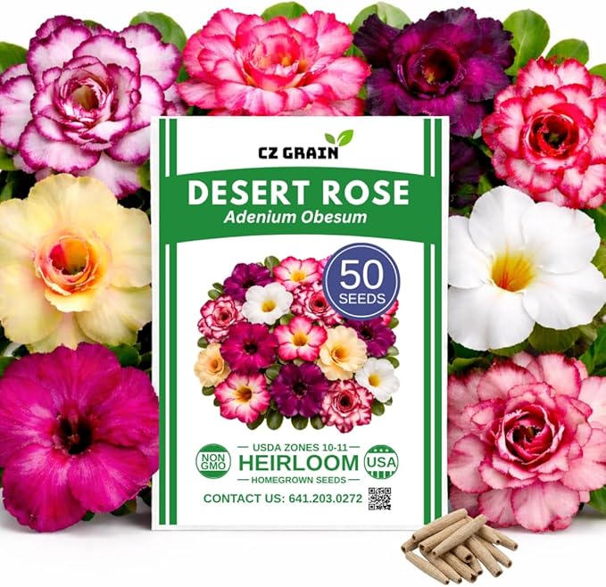 50 Seeds Adenium Obesum Seeds (Desert Rose) – Grow Exotic Caudex Succulent Flowering Plant for Indoor Bonsai or Outdoor Patio – Drought Tolerant, Pink Blooming Ornamental Plant for Containers
