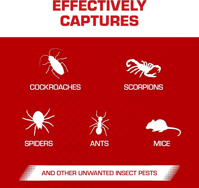 Tomcat Glue Boards with Eugenol for Enhanced Stickiness, Immediate Grip Glue Captures Mice, Cockroaches and Insects, Use Flat or Covered, Ready-To-Use, 26-Pack