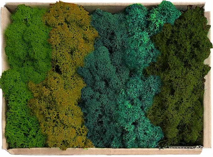 Preserved Reindeer Moss Natural Green DIY Kit Gardenning Art Wall Decor Florist Decor Easter Table Decor Wedding