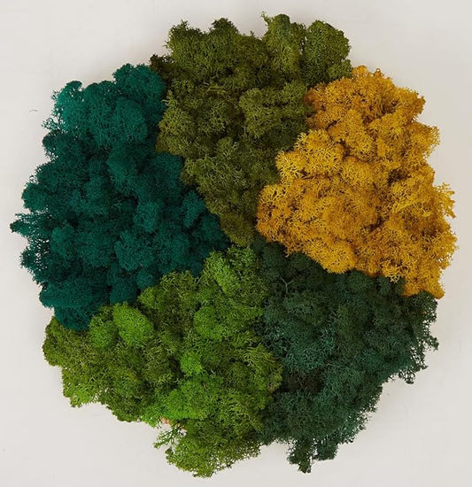 Preserved Reindeer Moss Natural Green DIY Kit Gardenning Art Wall Decor Florist Decor Easter Table Decor Wedding