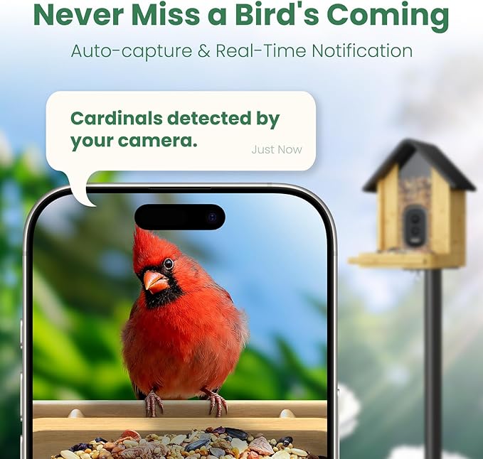 Smart Bird Feeder Camera with Solar Panel (Bamboo), 2.5K UHD AI Identification, Real-time Videos & Pictures, Wireless Solar Powered Outdoor, Ideal Garden Decor & Bird Watcher, Gift for Mom