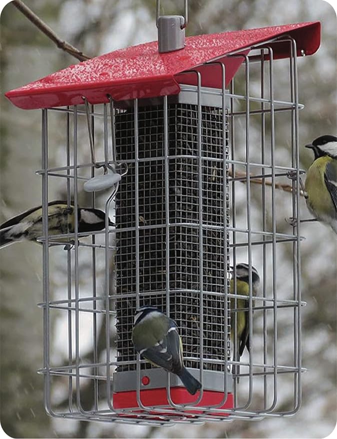 The Nuttery NC015 Geohouse Peanut/Sunflower Seed Feeder