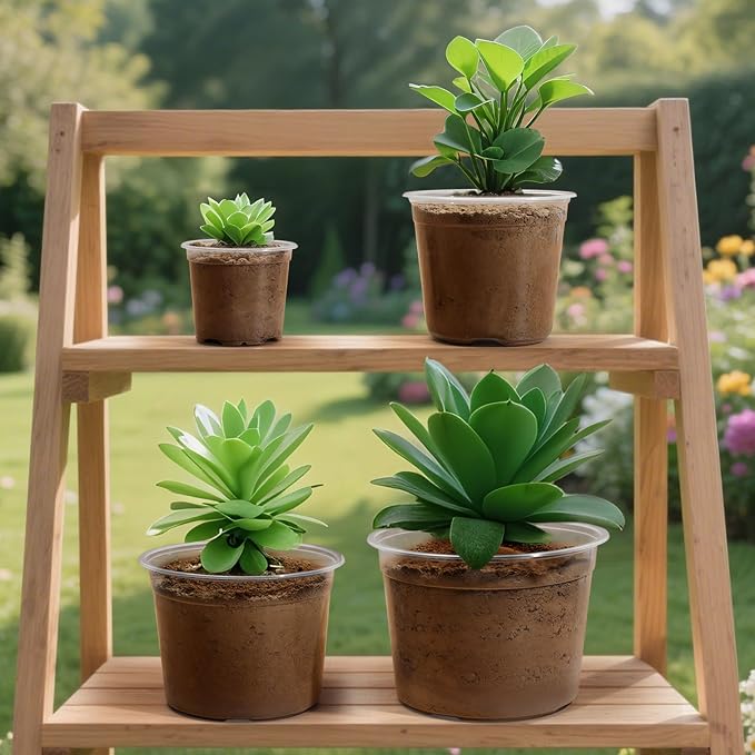 10 Inch Large Size Clear Nursery Pots with Drainage Holes, 5 Packs Plastic Pots for Plants, Transparency Durable Seedling Starter Pot for Succulents Flowers Herb Vegetables