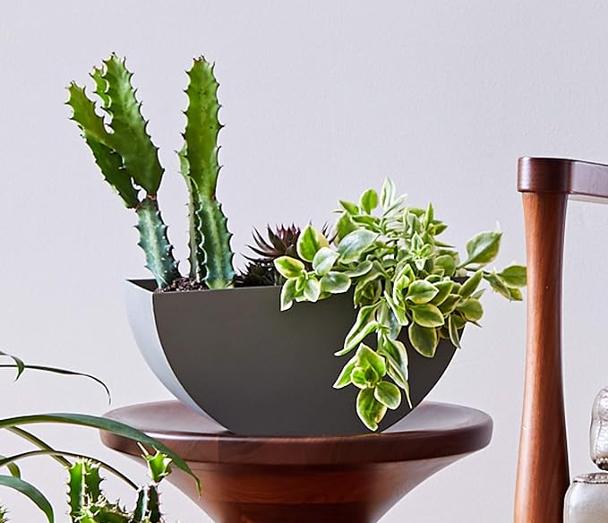 Bloem Bodye Half Moon Wall Mounted Hanging Planter 11" Charcoal Gray (BOD11908-HM)