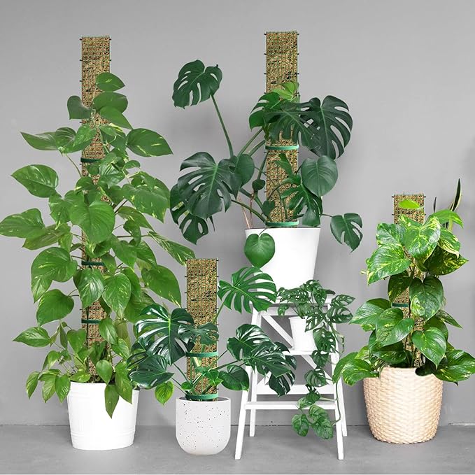 70" Metal Moss Pole, D Shape Sphagnum Moss Pole, Moss Poles for Climbing Plants, Monstera, Indoor Climbing Plants (2Pcs 70")