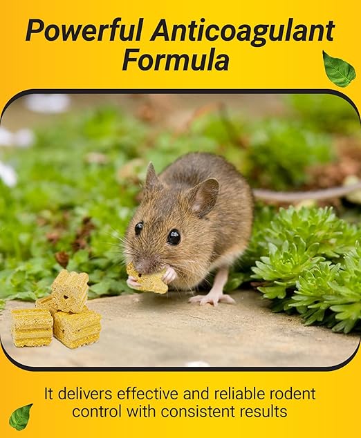 Kaput Mouse Blocks, Rodent Bait for Mice & Rats, Warfarin Vole Killer for Indoor/Perimeter Use, Kills Rodents with Consistent Feeding - Ideal for Homes, Farms & Transport Areas, 8 lbs
