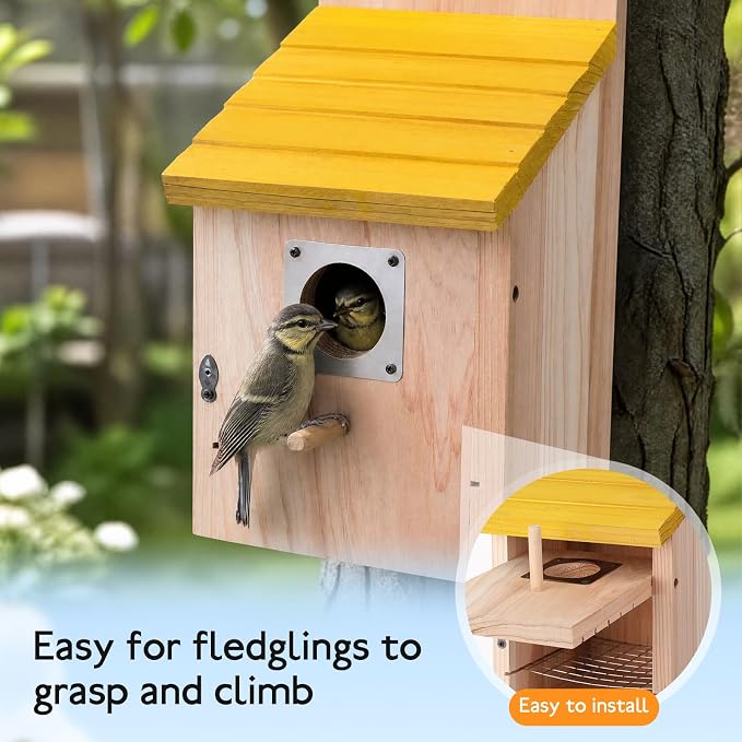 Marsui 4 Pcs Wood Bird Houses for Outside Blue Bird Houses Set with Pole Swallow Birds House with Metal Guards, Safety Locks, Flight Slots, & Ventilation for Bluebirds, Wrens, Finches