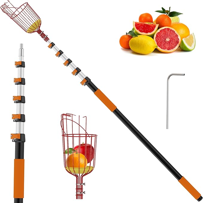 30FT Reach Fruit Picker with Basket, Telescoping Aluminum Pole 5-24FT, Dual Flip-Lock & Screw Fixing Design for Apple Orange Mango Avocado Lemon Picking