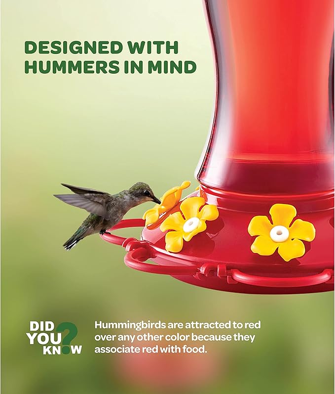 Hummingbird Feeder 20 oz. Glass Hummingbird Feeders for Outdoors, with Built-in Ant Guard - Circular Perch with 5 Feeding Ports - Wide Mouth for Easy Filling/2 Part Base for Easy Cleaning