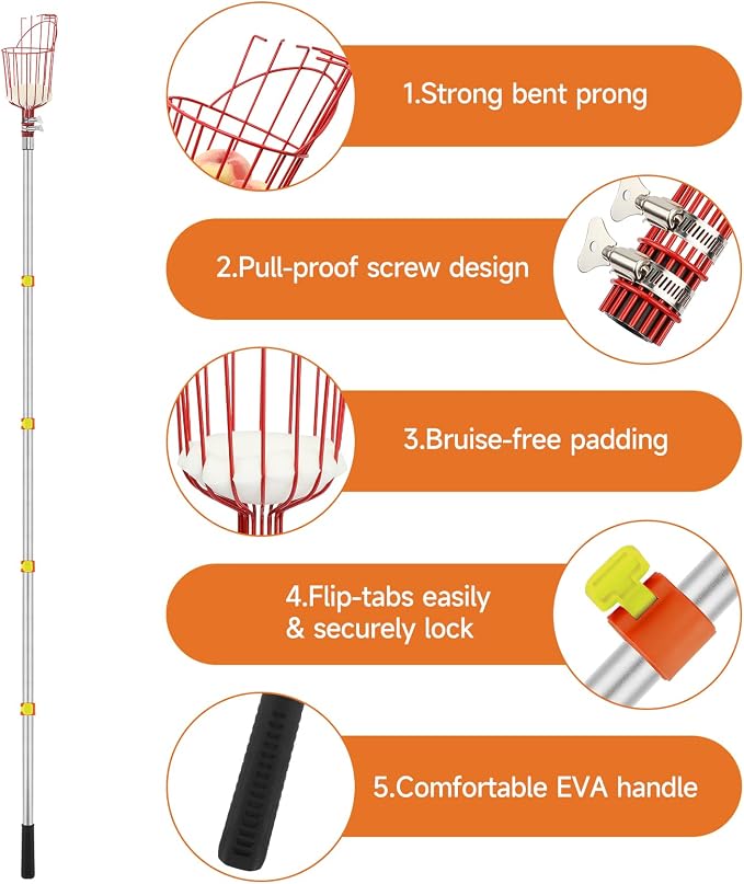 SANLIKE Fruit Picker Pole with Basket 12FT Adjustable Higher Lightweight Fruit Grabber Tool with Extension Pole for Apple Avocado Lemon Peach Pear Mango and Other Fruit Tree Harvester