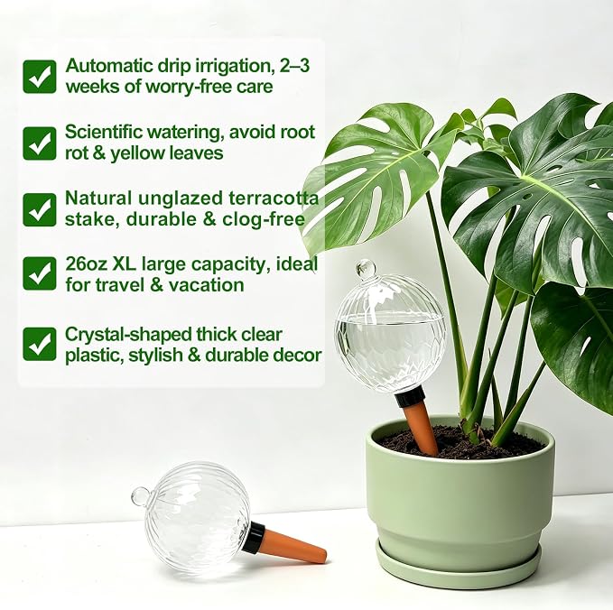 26oz Extra Large Self Watering Globes, Plant Watering Globes, Water Globes, Plant Water Bulbs, Watering Bulbs for Indoor Outdoor Potted Plants, Water Plants While Away 2-Pack