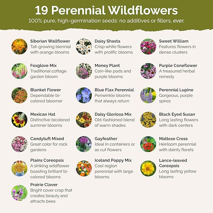 Eden Brothers Annual & Perennial Wildflower Seed Bundle for Planting – 39 Non-GMO, Pollinator Friendly Flower Seed Varieties – Plant in Spring, Zones 3, 4, 5, 6, 7, 8, 9, 10