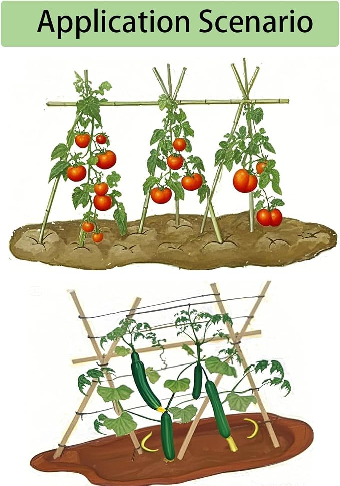 5 Ft Bamboo Stakes with 100 Twist Ties Natural Bamboo Garden Stakes for Tomatoes Cucumber Grapes Pole Beans Trees Potted Dahlia Flowers and Climbing Plants - Pack of 20 (58in, Approx 5FT)