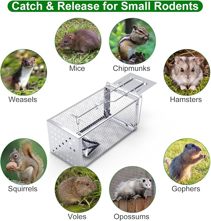 TeqHome Humane Rat Trap, Small 1-Door Live Chipmunk Trap That Work for Indoor and Outdoor, Easy to Catch and Release Live Animal Traps Mouse Traps Cage for Rodents Mice Voles Hamsters,Metal & Reusable