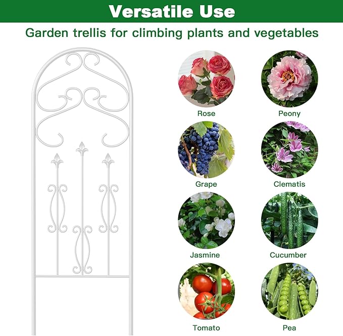 AMAGABELI GARDEN & HOME 2 Pack 60” x 18” Garden Trellis for Climbing Plants Outdoor Trellis for Climbing Roses Plant Trellis Vegetables and Flower Vine White Trellis for Ivy Cucumbers