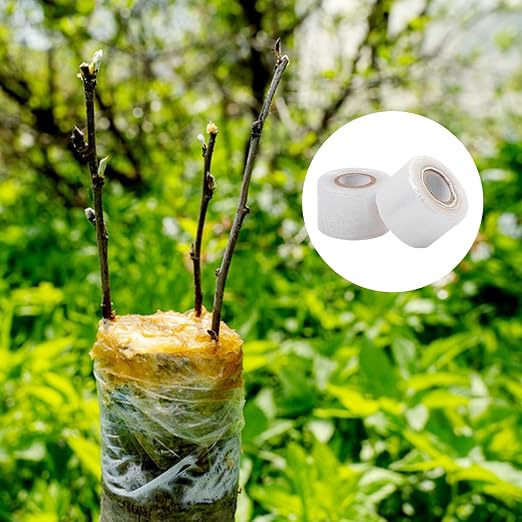 36 Pack 1.6 Inch Plants Grafting Tape, Grafting Film for Plant, Stretchable Garden Plants Repair Budding Tapes for Fruit Trees, Flower, Persimmon Trees, Vegetable