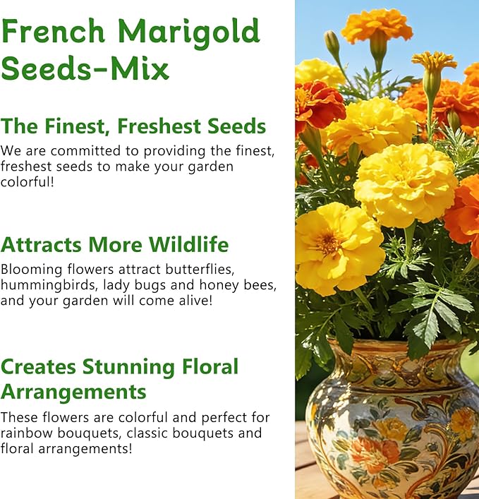 LUOJIBIE French Marigold Seeds for Planting Outdoors, Giant Marigold Flowers Seeds Bulk for 2026, Over 8,500+ Seeds Prolific Blooms, Ideal for Vibrant Pollinator Gardens