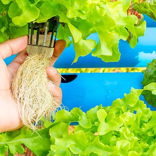 Halatool 2 Inch Rockwool Garden Rockwool Cubes for Hydroponics Rock Wool Planting Cubes for Soilless Cultivation Cuttings Clone Plants Germination Seedlings Start (4 Sheets, 192 Plugs in Total)
