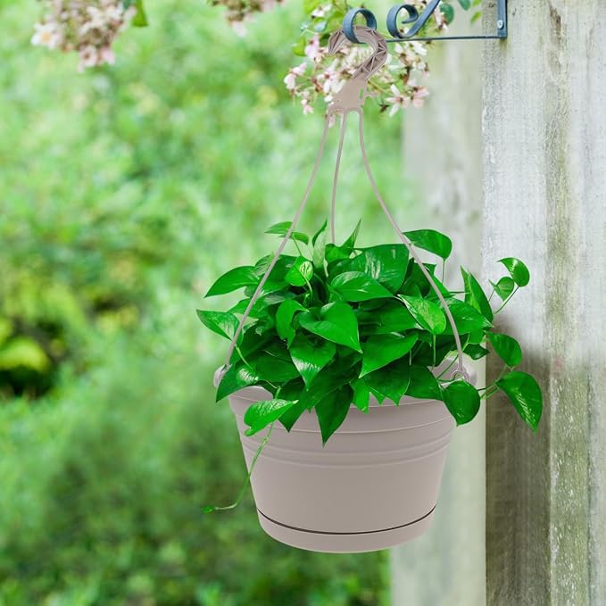 DOITOOL 3 Sets Plastic Hanging Planter Pots Garden Plant Pot, 9.8 Inch Hanging Flowerpot Plastic Nursery Basket Orchid Planter for Outdoor Indoor Garden (Light Grey)