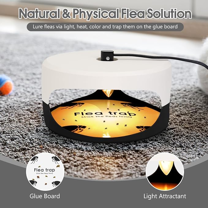 2 Pack Flea Traps for Inside Your Home, Indoor Flea Light, Bed Bug Killer with 6 Sticky Pads & 6 Light Bulb, Odorless Natural Insect Infestation Treatment Trap for Kid Pet