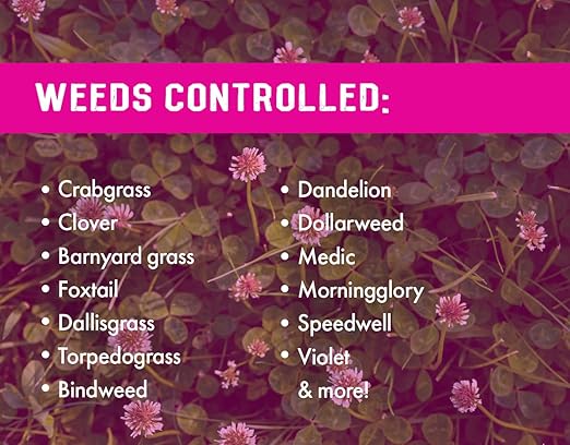 Pro Crabgrass & Grassy Weed Killer - 18.92% Quinclorac (Compare to Drive XLR8) – Concentrated Professional Crabgrass Herbicide – Quick Drying with Residual Control - 16 Ounces