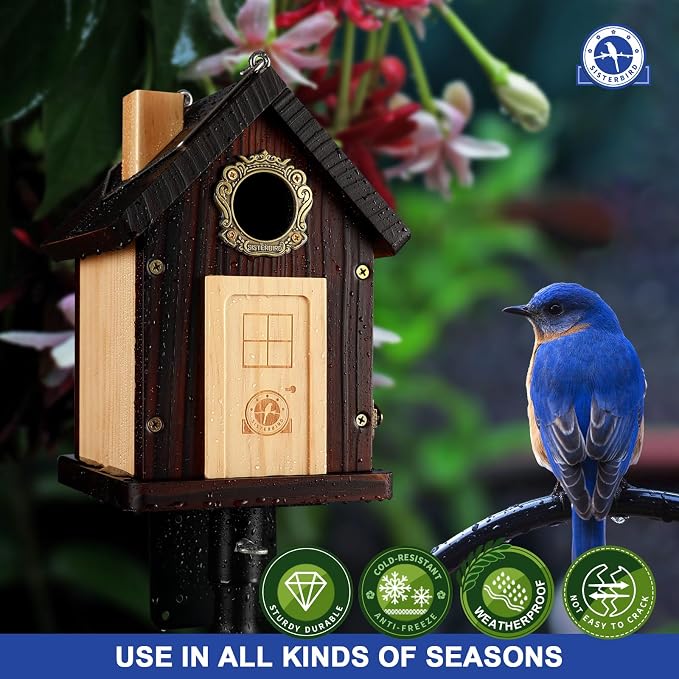 SISTERBIRD Bluebird House, Premium Bird Houses for Outside, Wooden Cabin Blue Bird Houses for Outdoors, Courtyard Decorated Hanging Bird House