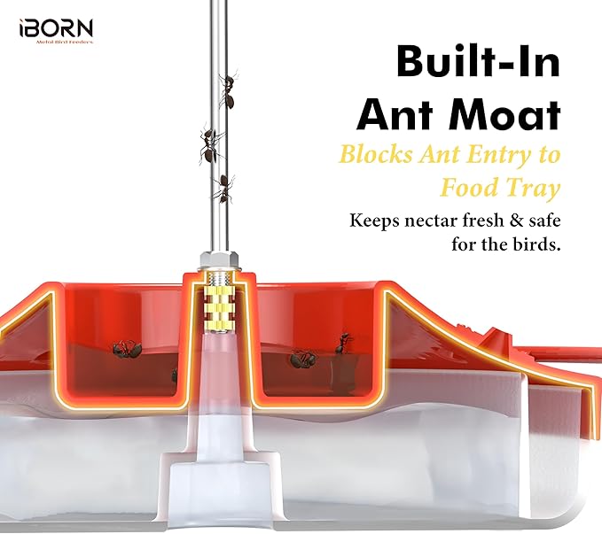 iBorn Hummingbird Feeders for Outdoors Hanging,Bee Proof Hummingbird Feeder with 14 Feeding Ports,13 OZ Saucer Humming Bird Feeders with Ant Moat,Ant Proof No Leak,Easy to Clean and Refill,2 Pack,Red