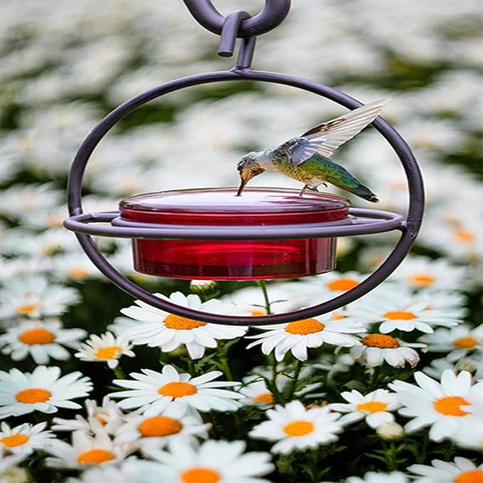 2025 New Model 3 Pack Humble Slim Hummingbird Feeder - Circular Leak-Resistant Design, Easy Clean & Fill, Outdoor Hanging Feeders for Garden, Backyard, Patio, Window (Black)