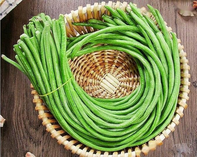 Bundle: Oriental Yard Long Bean Seeds + Thai Bird Chili Pepper Seeds for Planting