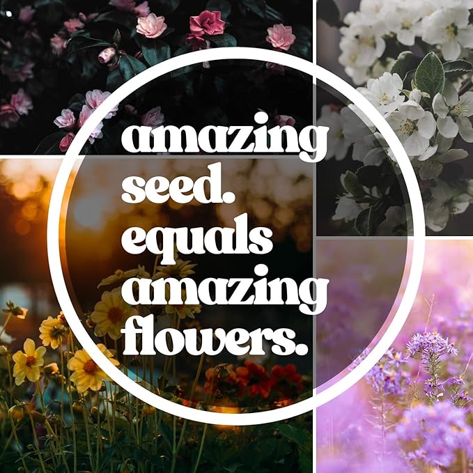 Wildflower Seeds Pollinator Collection - Includes 3 Premium Mixes: Save the Bees, Save the Monarchs, and Hummingbird & Butterfly - 15,000+ Wild Flower Seeds for Planting - Open Pollinated, Non-GMO