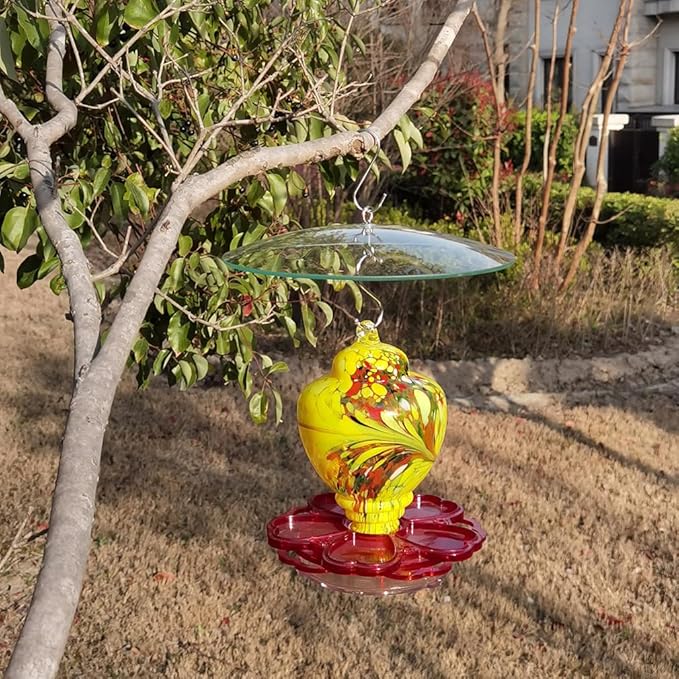 2PC X 10" Glass Rain Cover for Wild Bird Feeder Outdoors - Weather Guard S Hook Hanging - Protective Dome Baffle - Clear (Dia. 25CM)