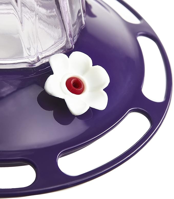 More Birds Bohemian Hummingbird Feeder, Glass Hummingbird Feeders for Outdoors, 4 Feeding Stations, 20 Ounces, Purple